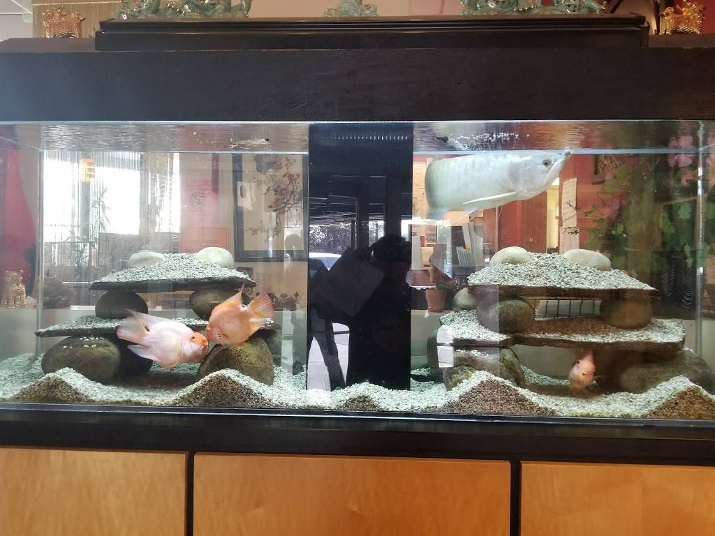 Asian Star | restaurant | 7588 Union Park Ave, Midvale, UT 84047, USA | 8015668838 OR +1 801-566-8838