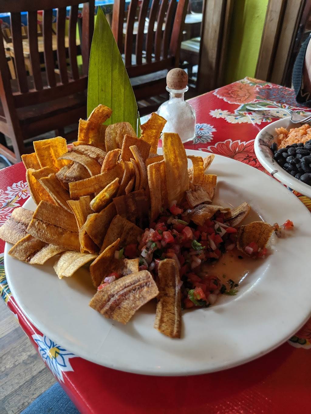 El Camino | restaurant | 607 N 35th St, Seattle, WA 98103, USA | 2066327303 OR +1 206-632-7303