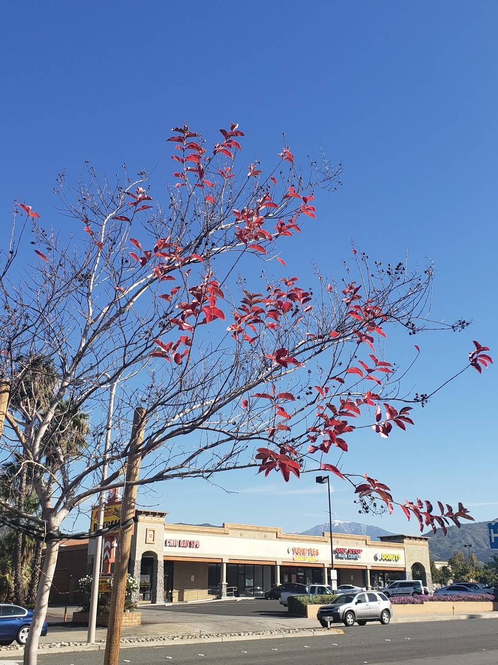 Starbucks | cafe | 214 W Rte 66, Glendora, CA 91740, USA | 6262016284 OR +1 626-201-6284