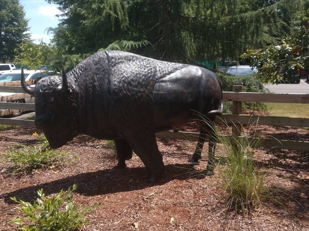 Bama Bucks | restaurant | 292 Bryant Rd, Sardis City, AL 35956, USA | 2562819234 OR +1 256-281-9234