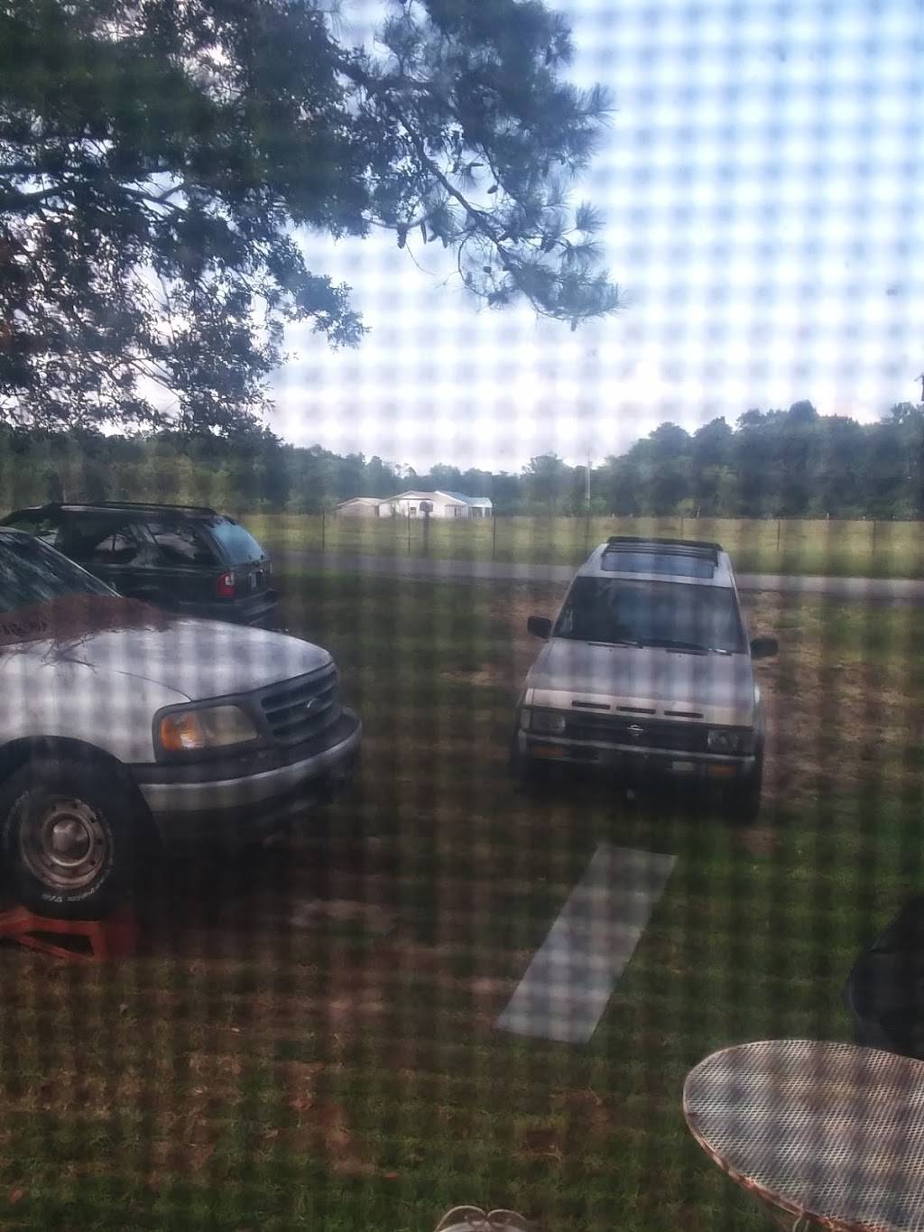 Rodens roadhouse cafe | restaurant | 5730 Swearengin Rd, Scottsboro, AL 35769, USA | 2564868384 OR +1 256-486-8384