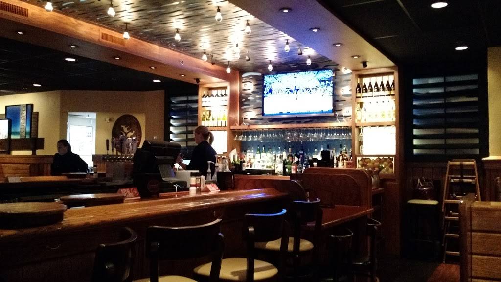 Outback Steakhouse | restaurant | 9382 TX-121, Frisco, TX 75035, USA | 9726686955 OR +1 972-668-6955