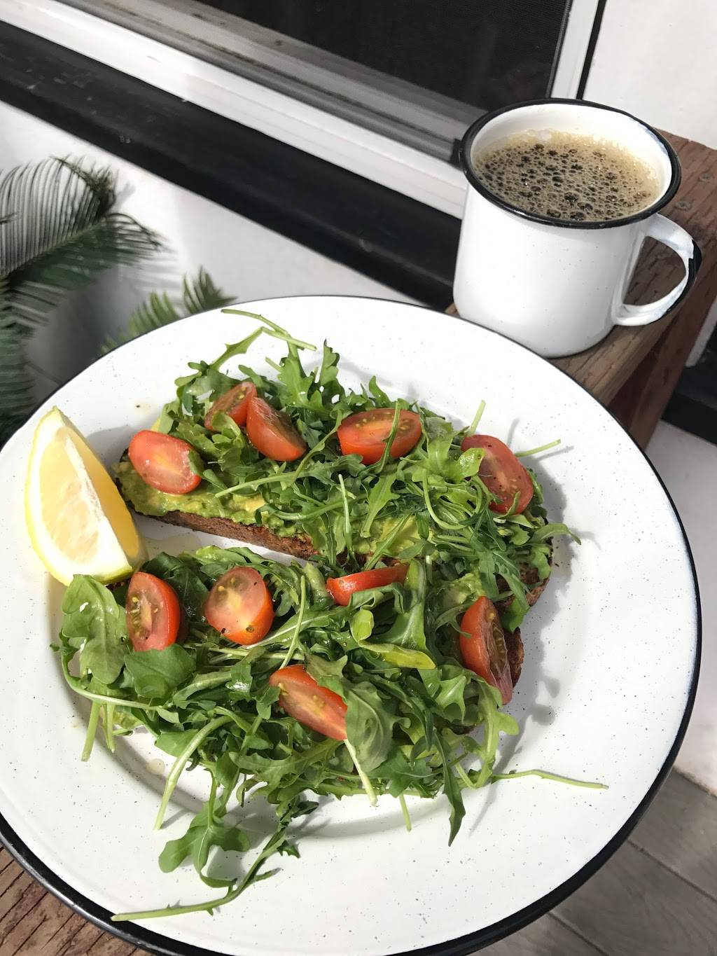 Java Earth Cafe | cafe | 4978 Cass St, San Diego, CA 92109, USA | 8582740028 OR +1 858-274-0028