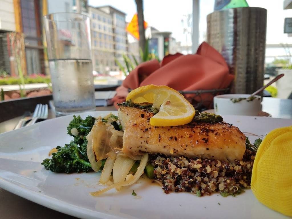 Sal & Pimienta Kitchen | restaurant | 818 Town and Country Blvd #105, Houston, TX 77024, USA | 8328490097 OR +1 832-849-0097