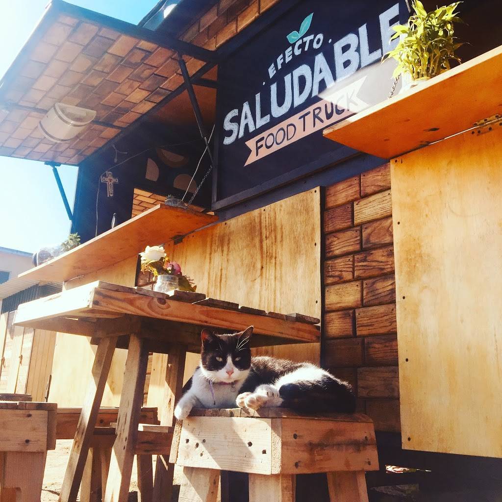 Efecto Saludable | restaurant | Calle 14 #73, Azteca, 22820 Ensenada, B.C., Mexico | 016469777153 OR +52 646 977 7153