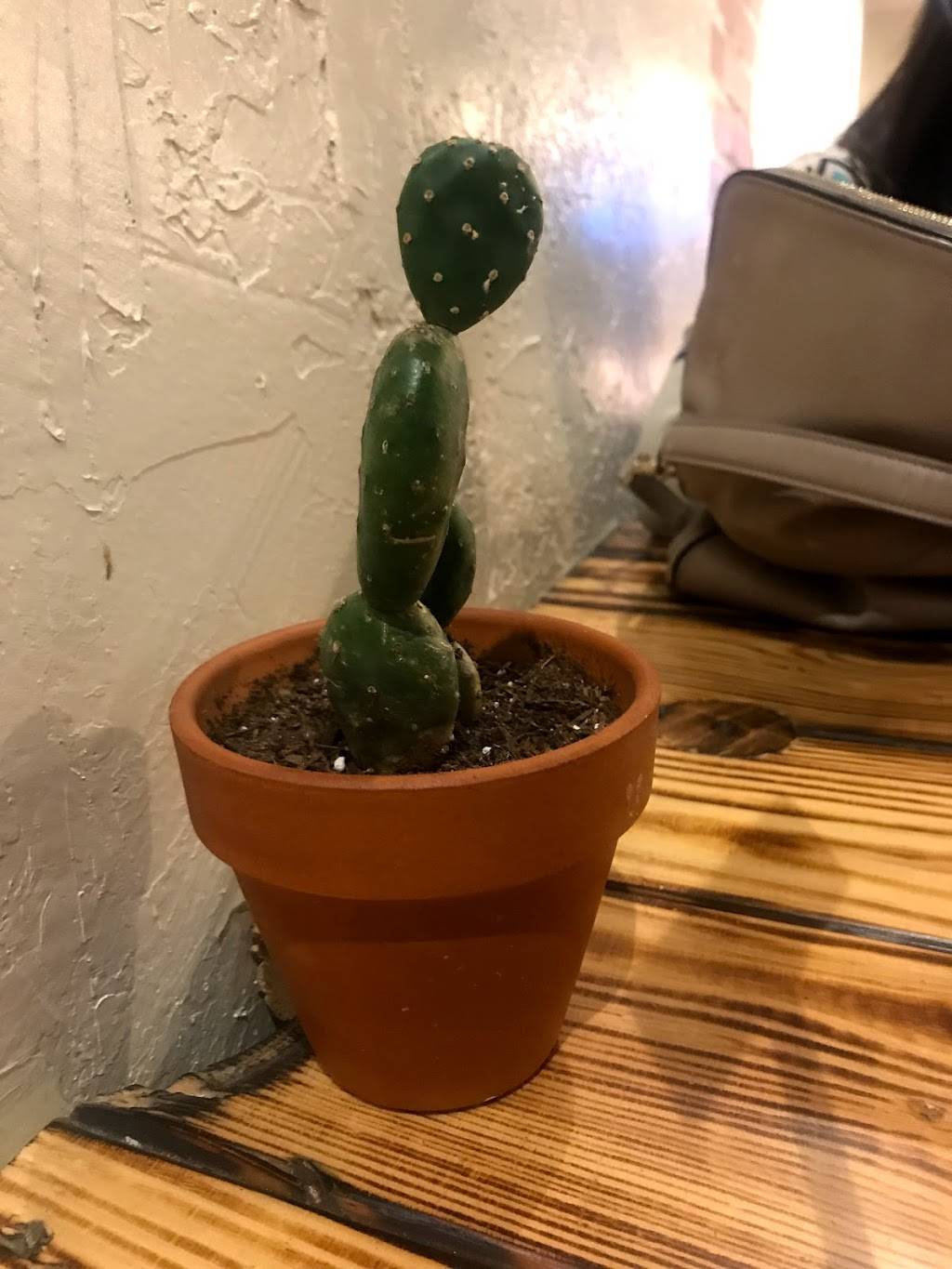 Phatties Mexican Restaurant | restaurant | 242 W Mission Ave Ste D, Escondido, CA 92025, USA | 4422867242 OR +1 442-286-7242