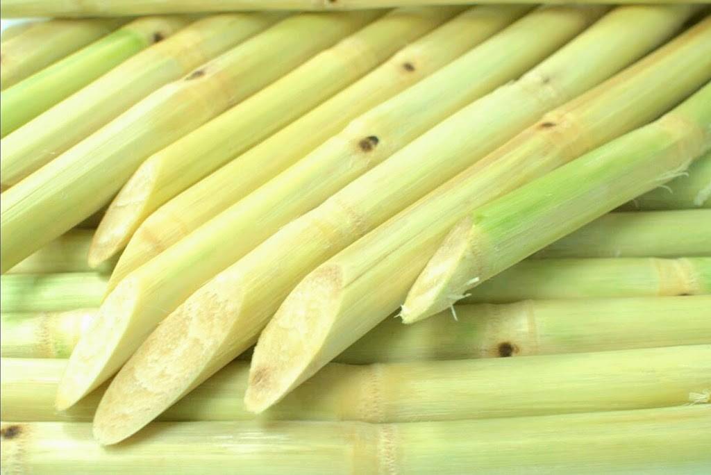 Nuoc Mia Ninh Kieu | restaurant | 1017, 1111 Story Rd, San Jose, CA 95122, USA | 4082178270 OR +1 408-217-8270