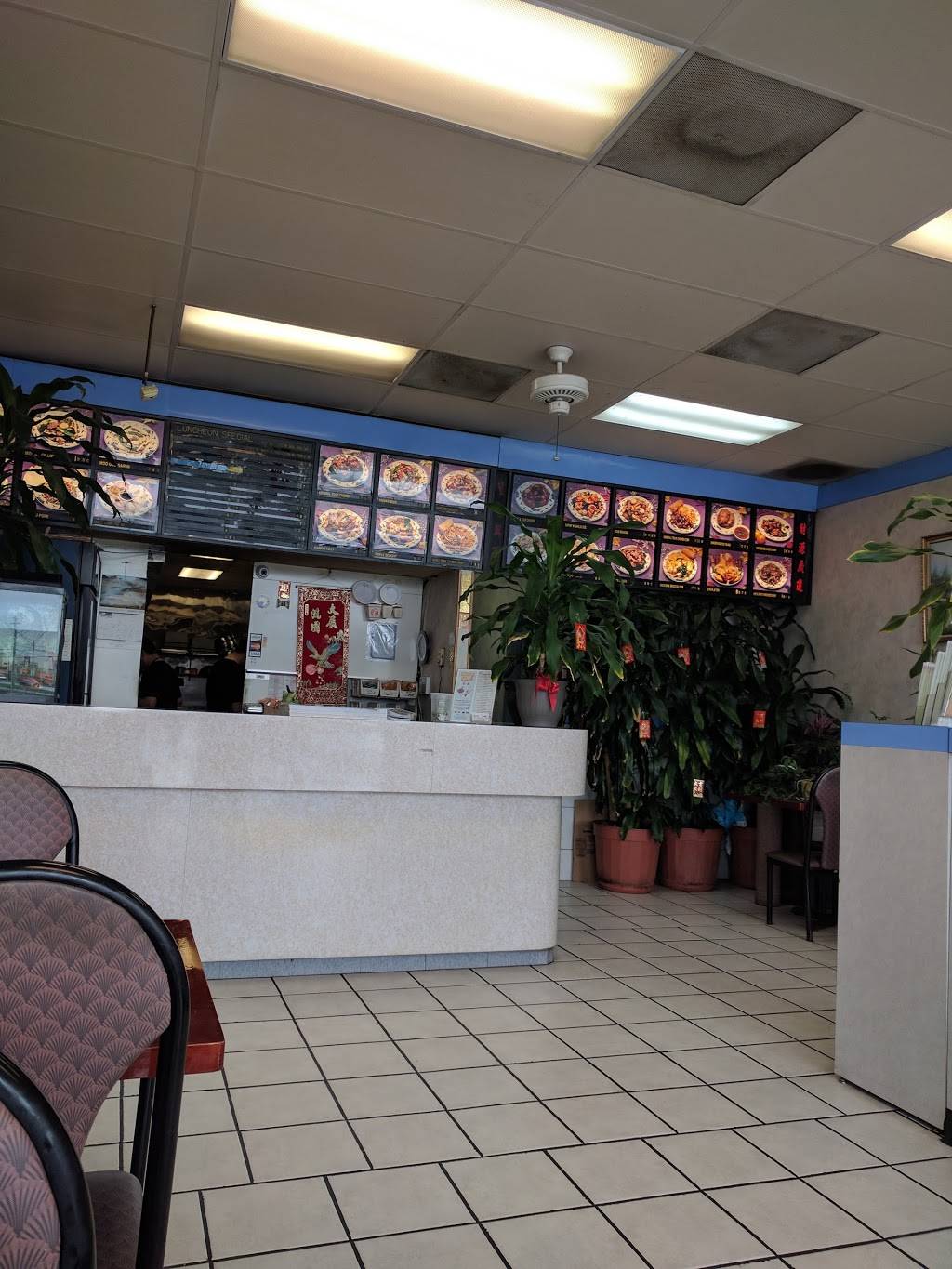 China King Restaurant | restaurant | 1313 Old, Courthouse Dr, Martinsburg, WV 25401, USA | 3042677166 OR +1 304-267-7166