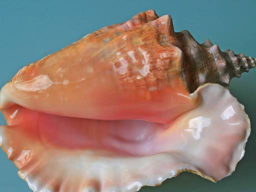 mekong asian seafood | restaurant | 3068 Q St, Omaha, NE 68107, USA | 4027311204 OR +1 402-731-1204