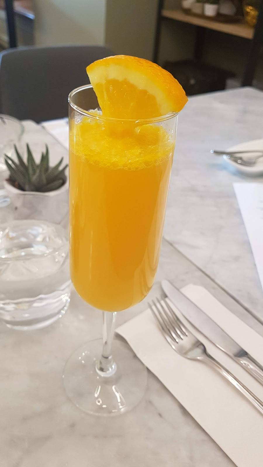 Aviator Danforth | restaurant | 1458 Danforth Ave, Toronto, ON M4J 1N4, Canada | 6473482680 OR +1 647-348-2680