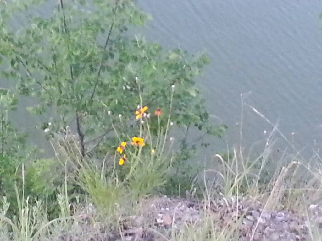 The Point on Lake Worth | restaurant | 1349 Bomber Rd, Fort Worth, TX 76108, USA | 8172469168 OR +1 817-246-9168