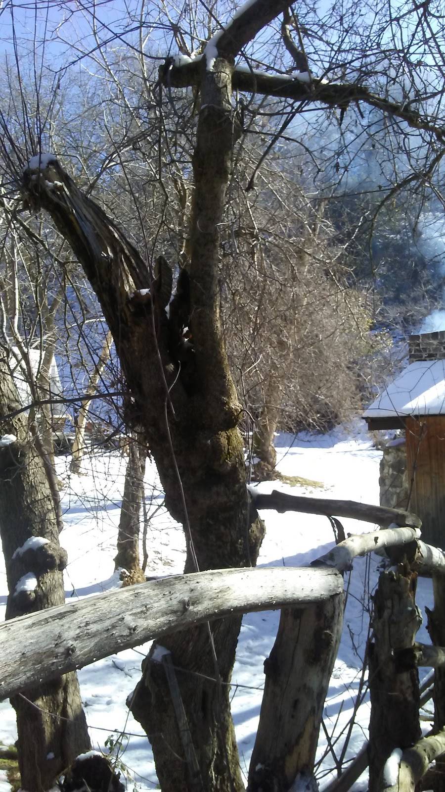 Rileys Farm | restaurant | 12261 Oak Glen Rd, Yucaipa, CA 92399, USA | 9097977534 OR +1 909-797-7534