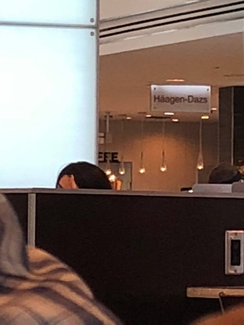 Häagen-Dazs | restaurant | 3393 Peachtree Rd NE, Atlanta, GA 30326, USA | 4042333396 OR +1 404-233-3396