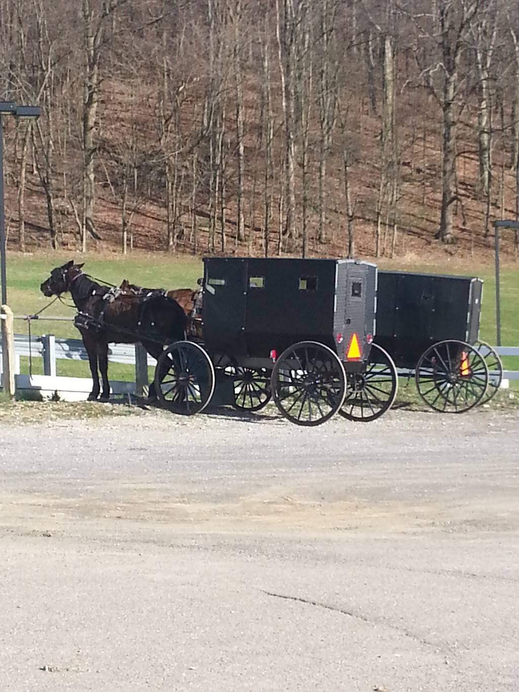 Burger King | restaurant | 1095 S Washington St, Millersburg, OH 44654, USA | 3306745466 OR +1 330-674-5466