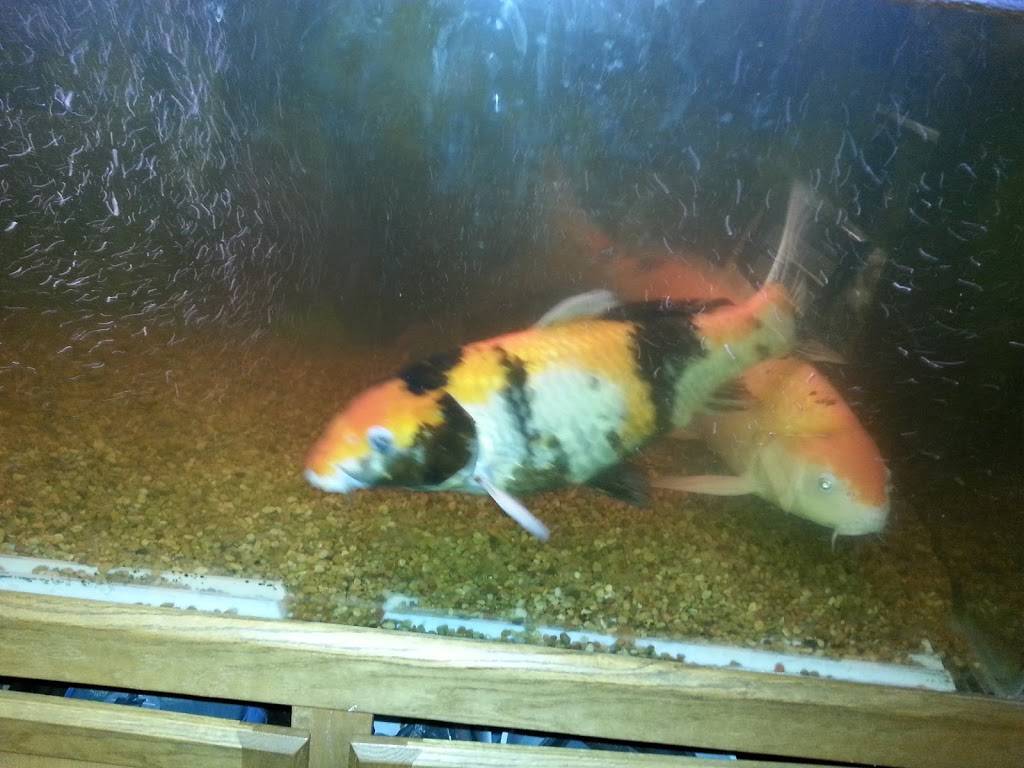 The Lims Sports Bar and Cafe | restaurant | 7 Veterans Memorial Pkwy, Salem, NH 03079, USA | 6038939124 OR +1 603-893-9124