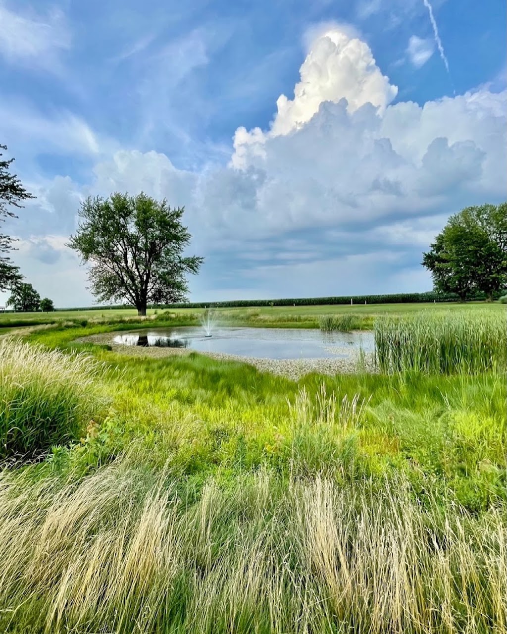 Hollow Acres Golf Center | restaurant | 8291 US-421, Monticello, IN 47960, USA | 5749652182 OR +1 574-965-2182