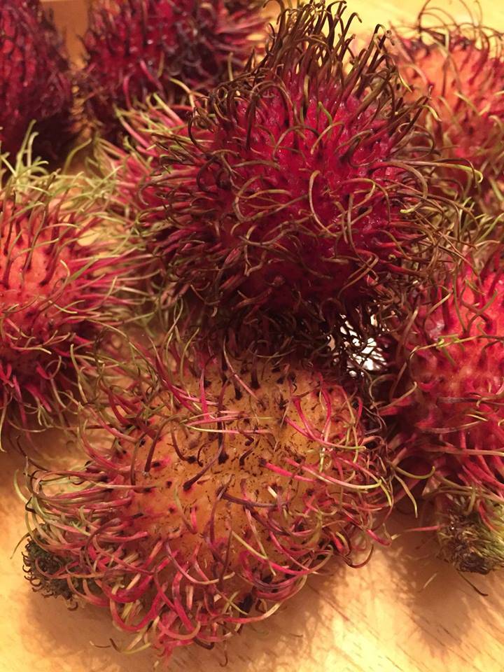 Délices Thaï xp | restaurant | 600 Rue Pierre-Caisse, Saint-Jean-sur-Richelieu, QC J3A 1M1, Canada | 4503590486 OR +1 450-359-0486