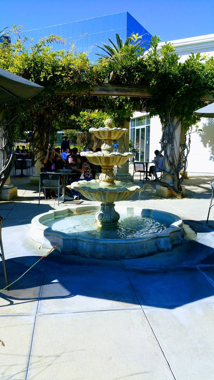 Starbucks | cafe | 1759 Technology Dr a, San Jose, CA 95110, USA | 4084519318 OR +1 408-451-9318