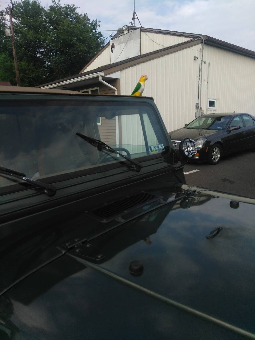 Pinos Pizza | restaurant | 102 W Main St, Silverdale, PA 18962, USA | 2152570454 OR +1 215-257-0454