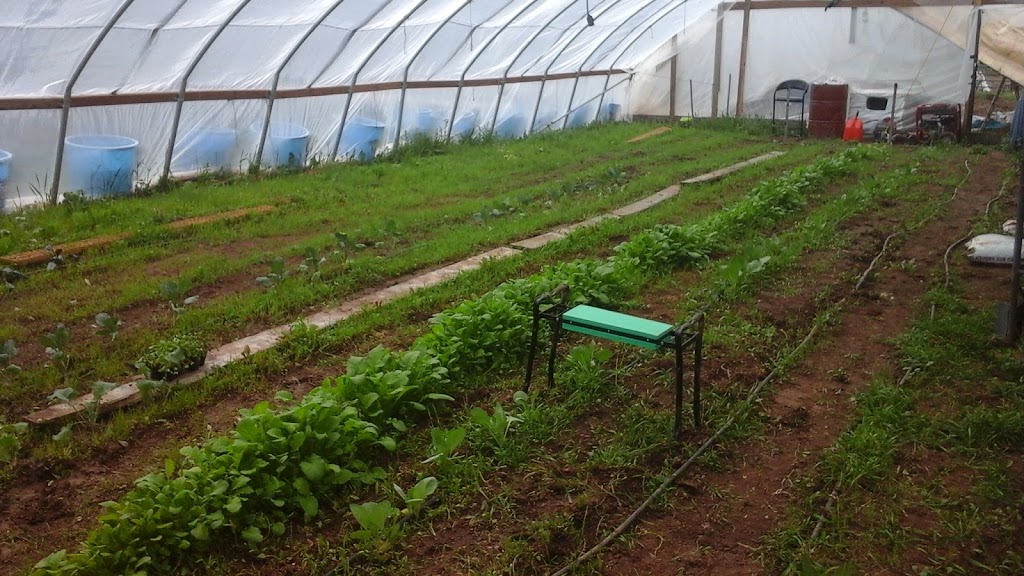 BPD | restaurant | 57482 CO-330, Collbran, CO 81624, USA | 9705894581 OR +1 970-589-4581