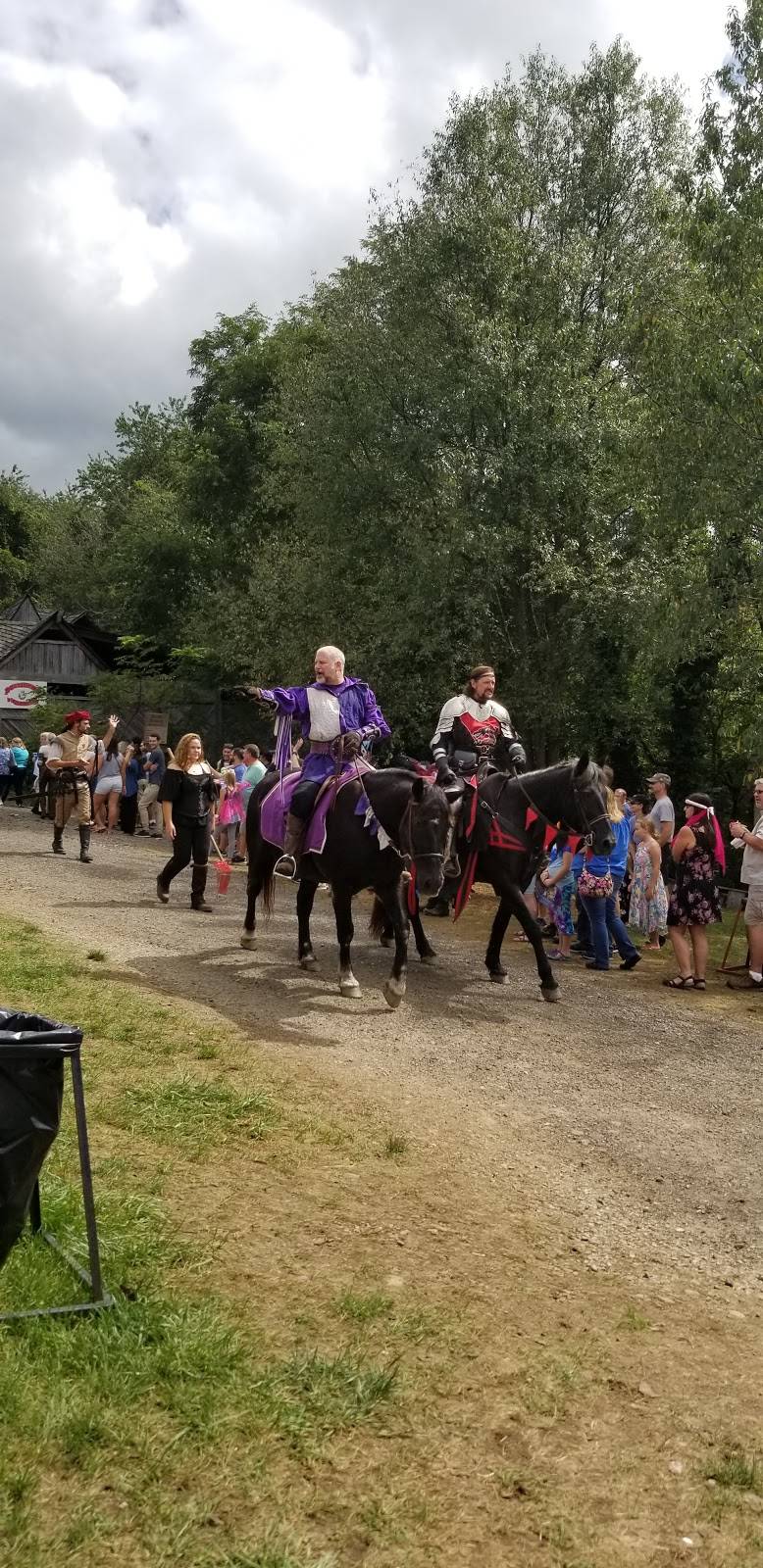 Pittsburgh Renaissance Festival | shopping mall | 112 Renaissance Ln, West Newton, PA 15089, USA | 7248721670 OR +1 724-872-1670