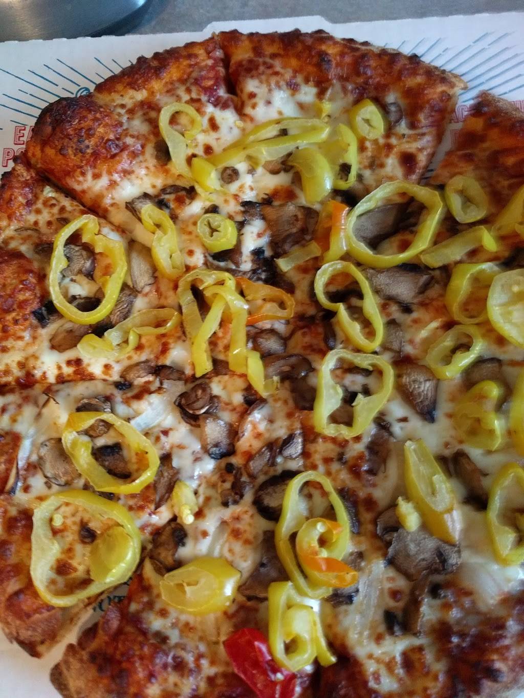 Dominos Pizza | meal delivery | 189 25e Av 25e Avenue, Saint-Eustache, QC J7P 2V1, Canada | 4504729999 OR +1 450-472-9999