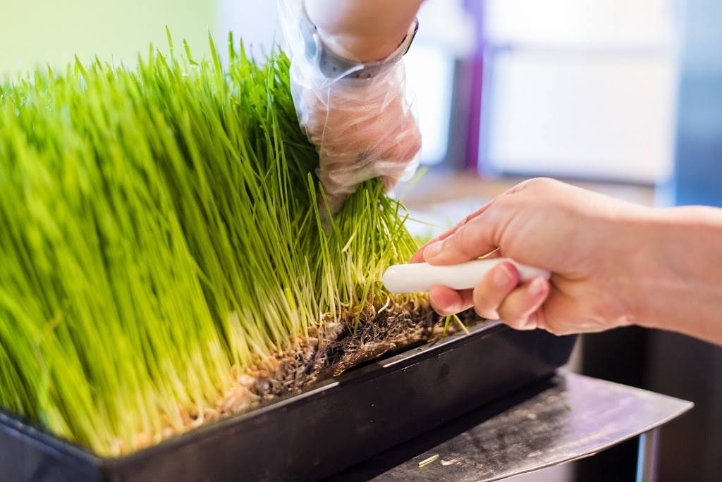 Keva Juice | cafe | 748 S Meadows Pkwy A10, Reno, NV 89521, USA | 7753788918 OR +1 775-378-8918