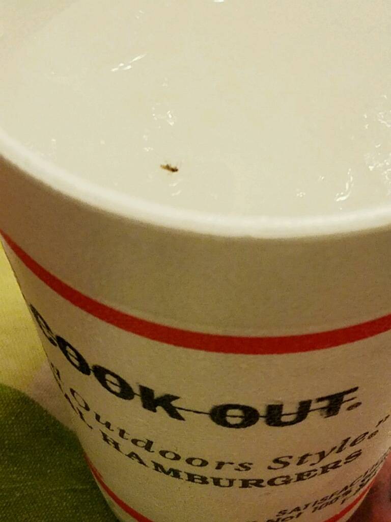 Cook Out | restaurant | 618 Boulevard, Colonial Heights, VA 23834, USA | 8045202960 OR +1 804-520-2960