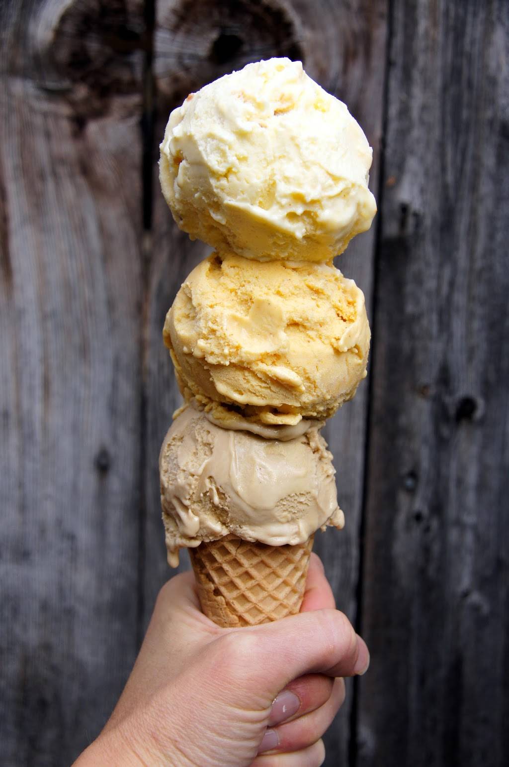 Heifer and the Hen | restaurant | 5290 Arapahoe Ave, Boulder, CO 80303, USA | 7203283159 OR +1 720-328-3159