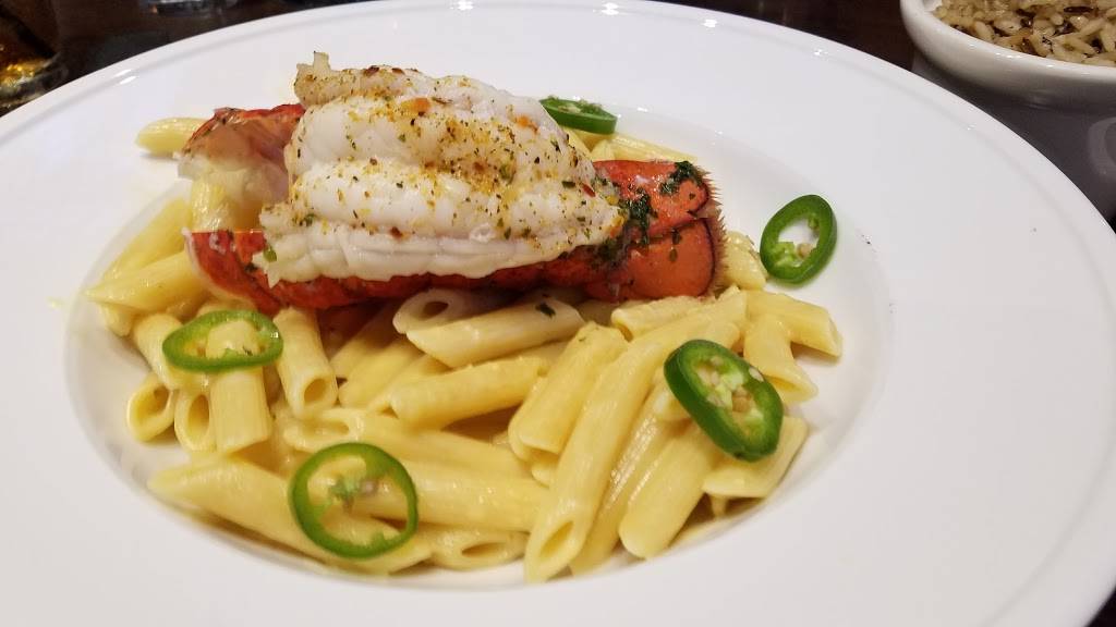 Black Rock Bar & Grill - Tampa | restaurant | 11702 N Dale Mabry Hwy, Tampa, FL 33618, USA | 8133213577 OR +1 813-321-3577