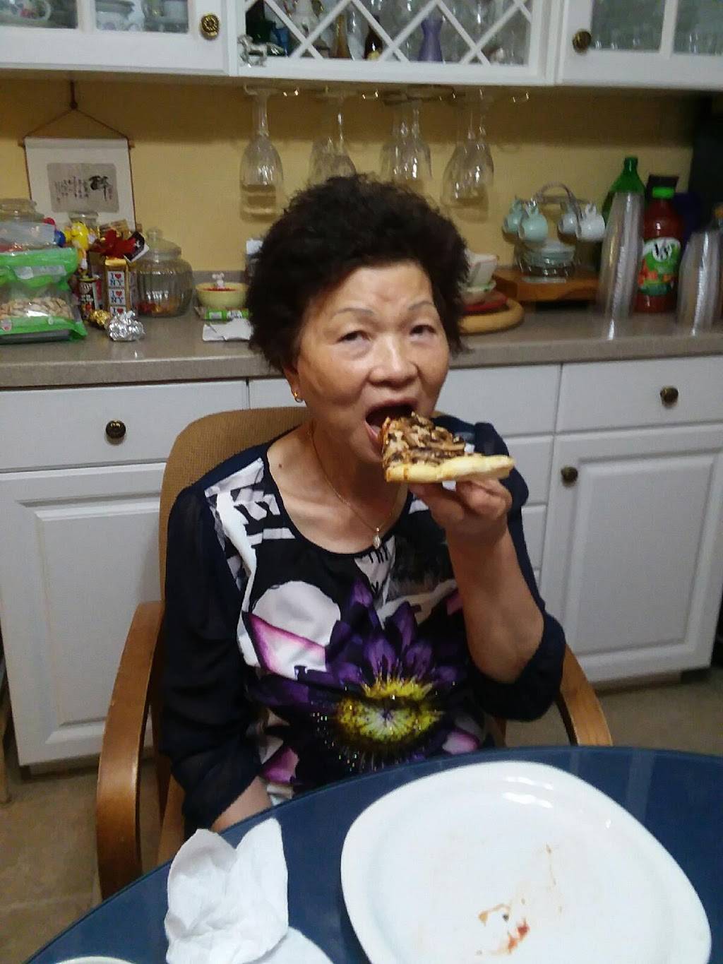 Dominos Pizza | meal delivery | 732 Shamrock Blvd, Venice, FL 34293, USA | 9414975050 OR +1 941-497-5050