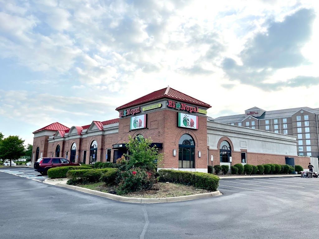 Black Olive Italian Restaurant | restaurant | 2745 Crittenden Dr Suit A, Louisville, KY 40209, USA | 5026902014 OR +1 502-690-2014