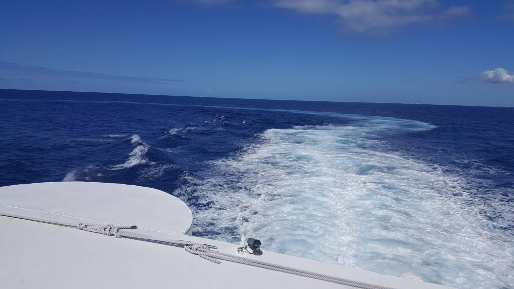 Semisub One | restaurant | 1 Aloha Tower Dr, Honolulu, HI 96813, USA | 8082022038 OR +1 808-202-2038