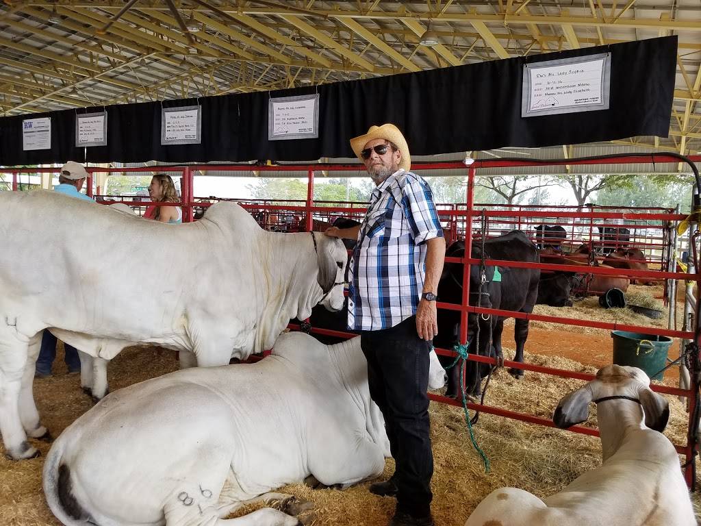 Fritanga Coliseo | restaurant | 7012 SW 87th Ave, Miami, FL 33173, USA | 3052797434 OR +1 305-279-7434