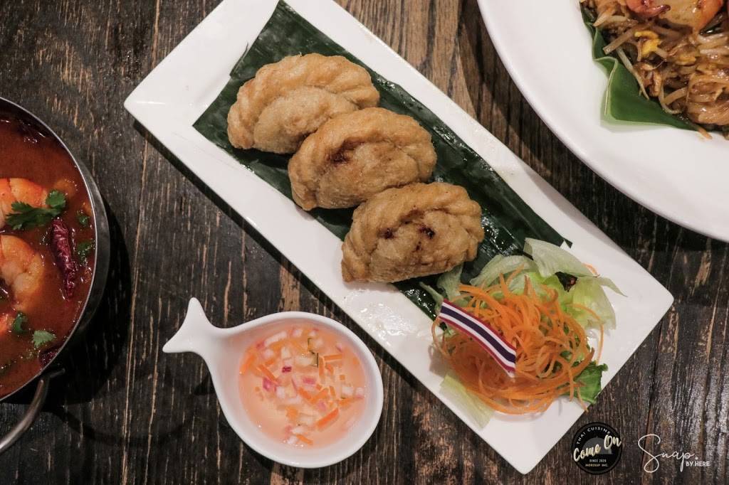 Come On Thai Cuisine | restaurant | 7803 3rd Ave, Brooklyn, NY 11209, USA | 3475606666 OR +1 347-560-6666