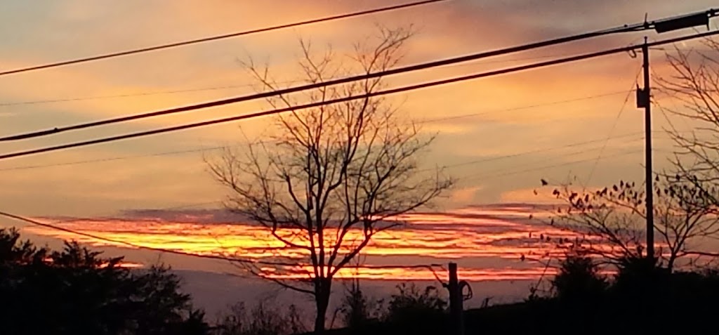 Shell | restaurant | 6302 Maynardville Hwy, Maynardville, TN 37807, USA | 8659924930 OR +1 865-992-4930