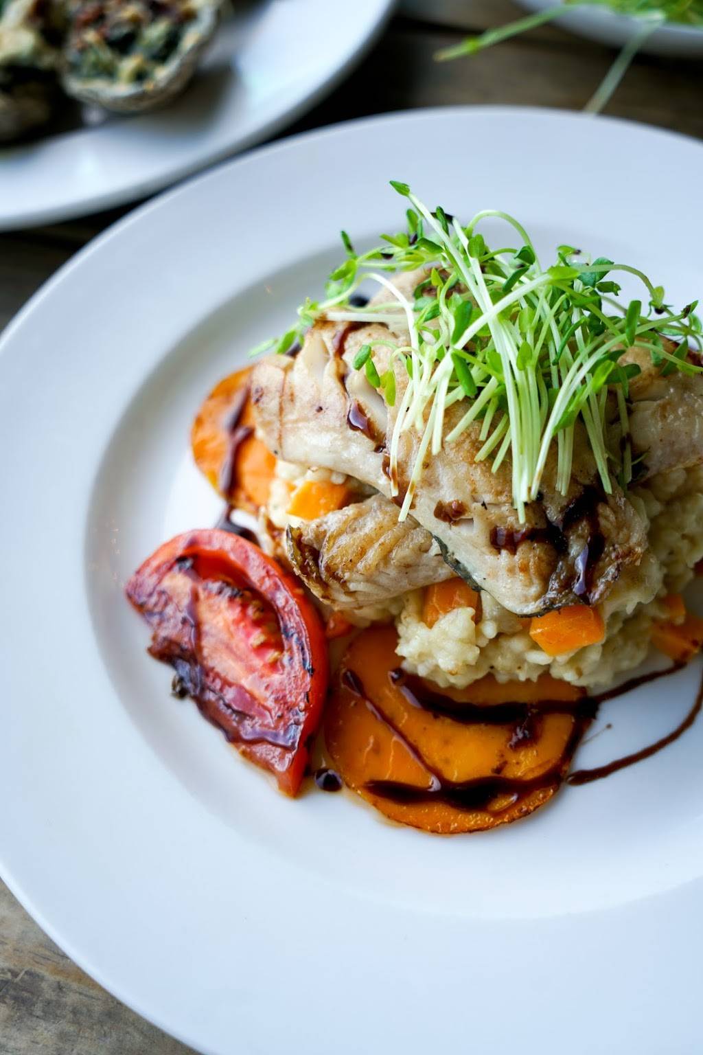 Calypso Bar & Grill | restaurant | 1101 Atlantic Ave, Virginia Beach, VA 23451, USA | 7572281972 OR +1 757-228-1972