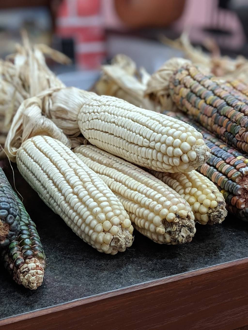 Palomas Grill | restaurant | 390 Springbank Dr, London, ON N6J 3H2, Canada | 5194881786 OR +1 519-488-1786