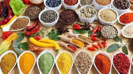 Durbar Nepalese And Indian Bistro | restaurant | 6590 W 120th Ave, Broomfield, CO 80020, USA | 7202873307 OR +1 720-287-3307