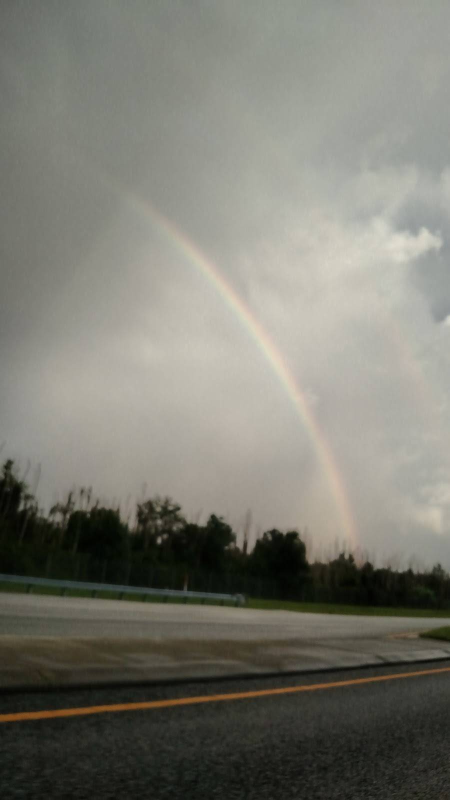 Dunkin | bakery | 14690 Metro Pkwy, Fort Myers, FL 33912, USA | 2395619633 OR +1 239-561-9633