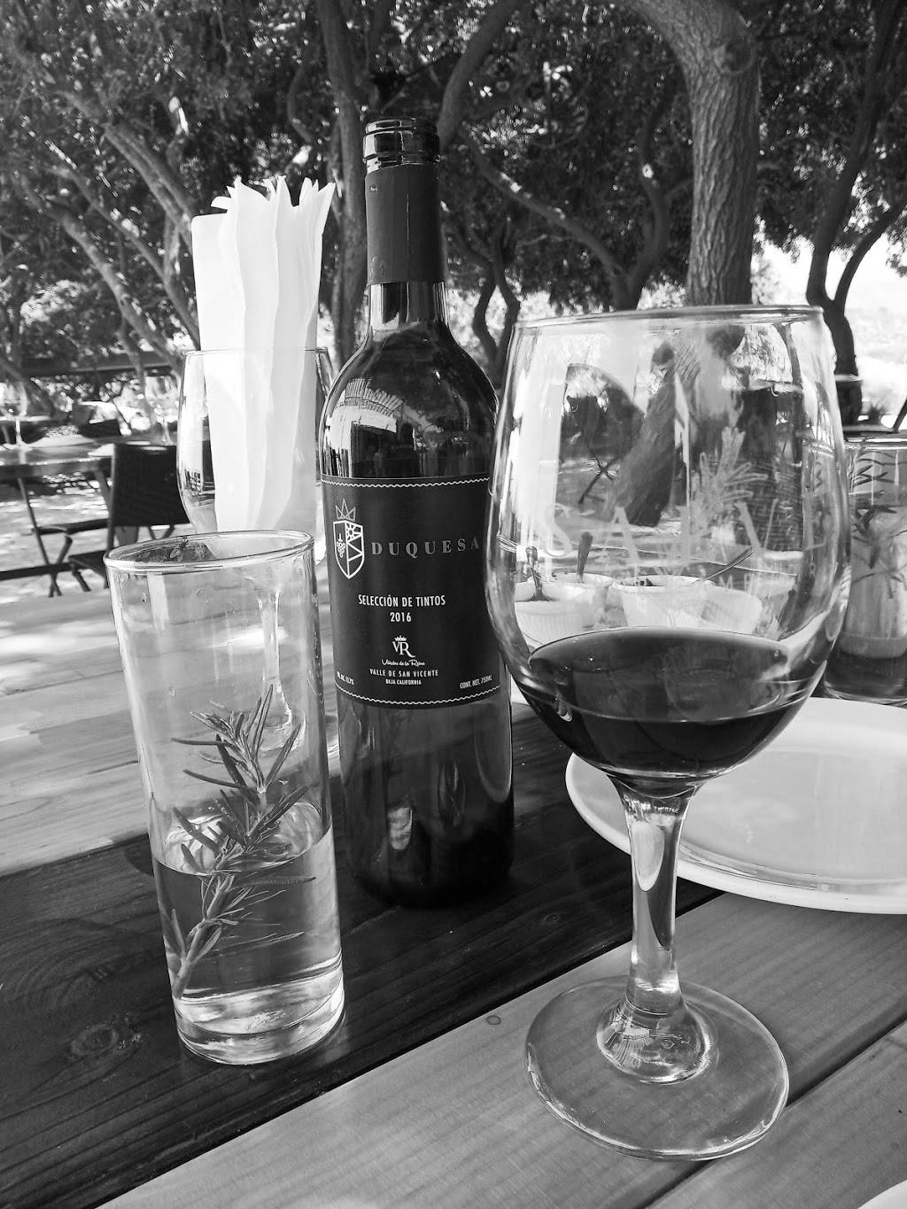 Salve Asador Campestre | restaurant | Ensenada, Baja California, Mexico | 016461516294 OR +52 646 151 6294