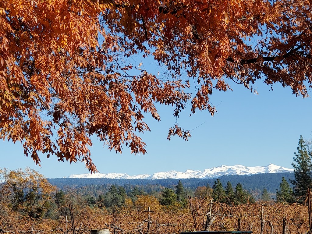 Sierra Vista Vineyards & Winery | meal takeaway | 4560 Cabernet Way, Placerville, CA 95667, USA | 5306227221 OR +1 530-622-7221