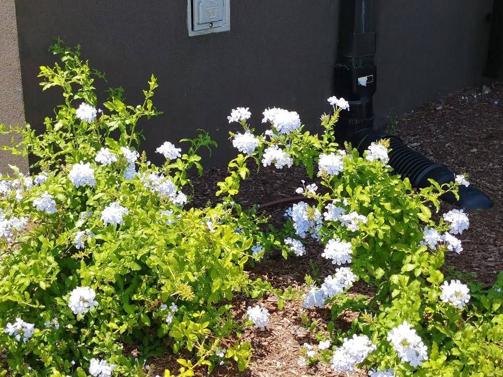 Starbucks | cafe | 2500 Monument Rd, Jacksonville, FL 32225, USA | 9049963664 OR +1 904-996-3664