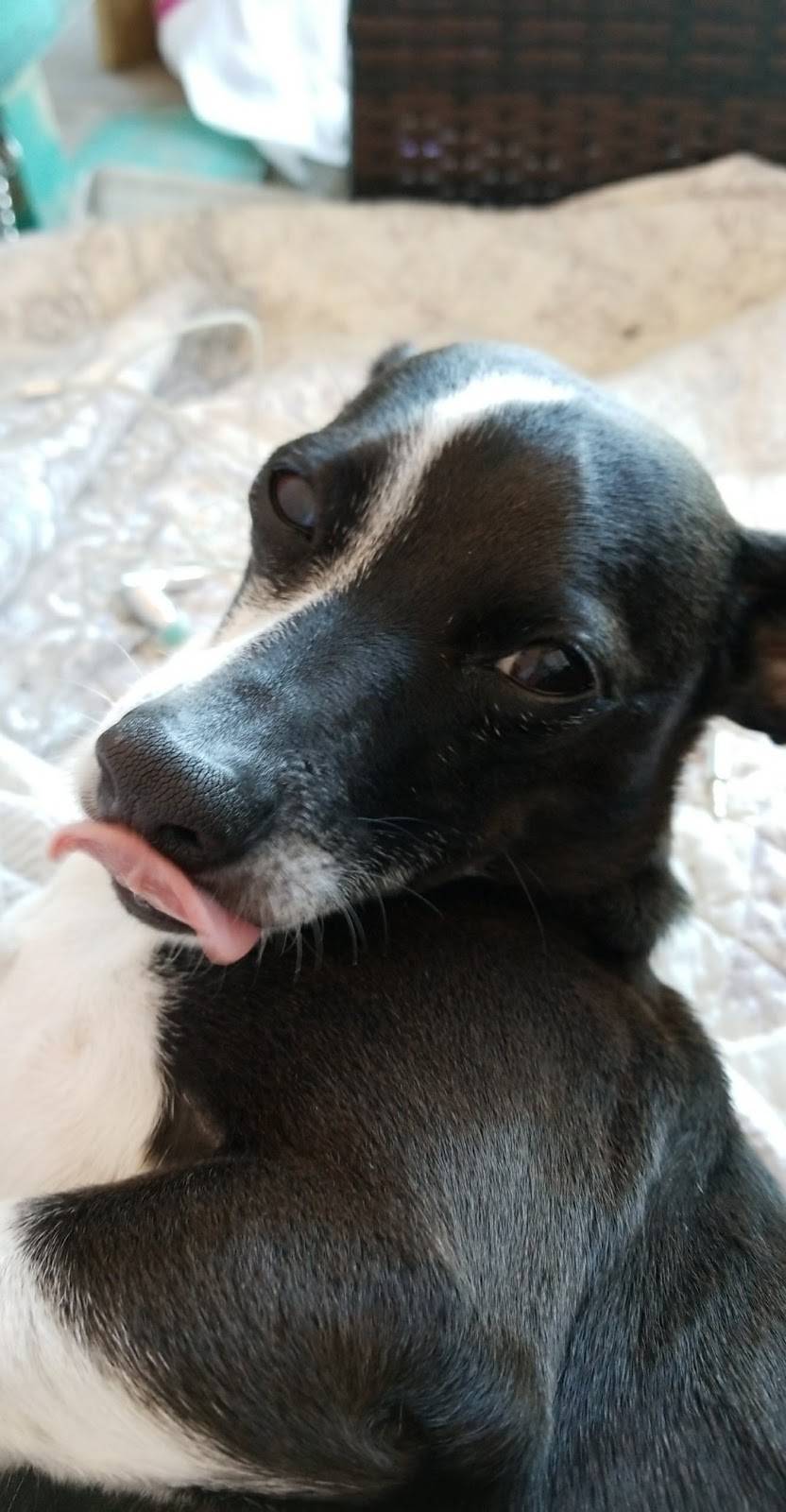 Kawa Sushi | restaurant | 1475 Palm Coast Pkwy NW # 109, Palm Coast, FL 32137, USA | 3869862266 OR +1 386-986-2266