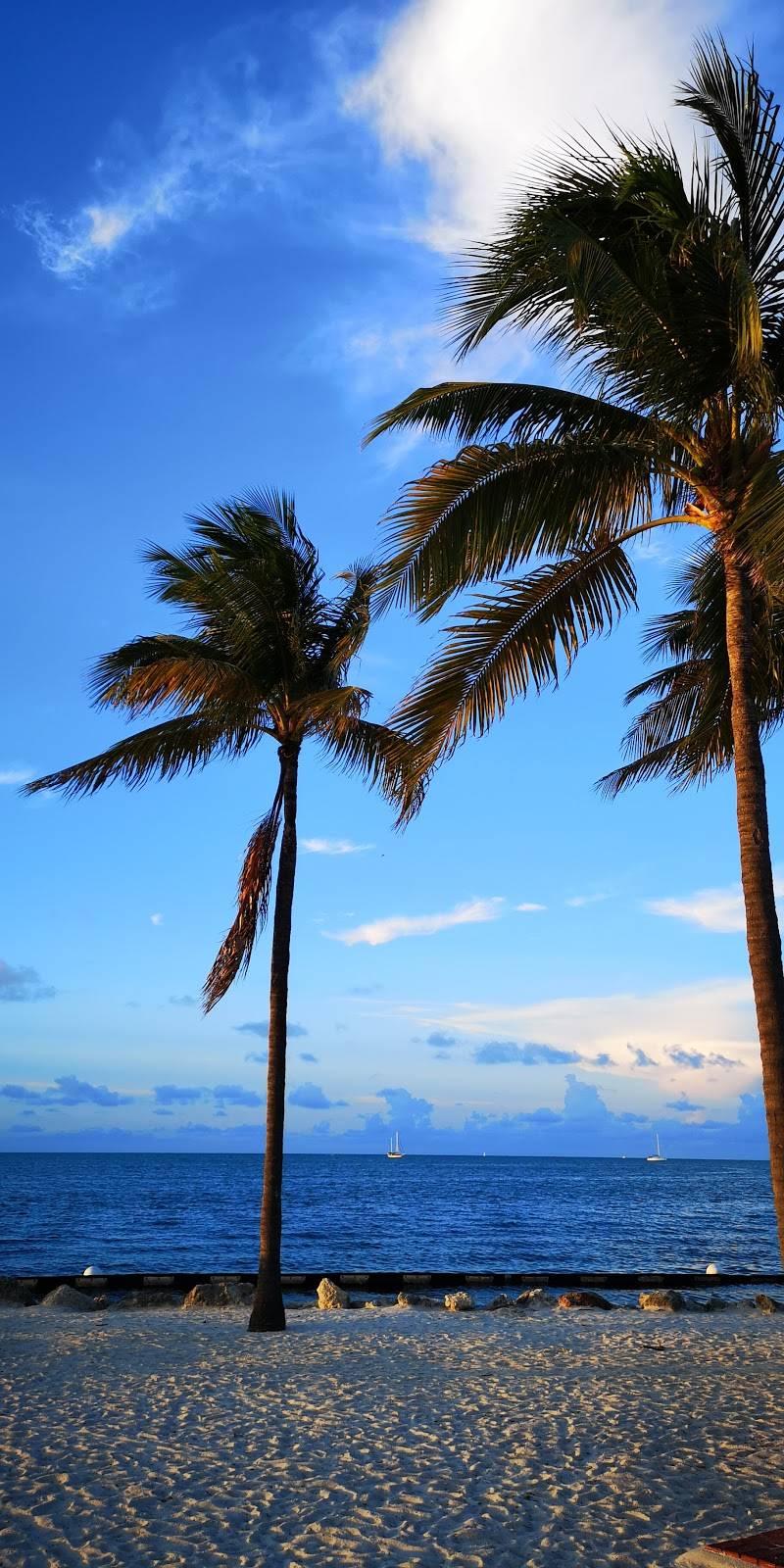 TJs Tiki Bar | restaurant | 2600 Overseas Hwy, Marathon, FL 33050, USA | 3052890888 OR +1 305-289-0888