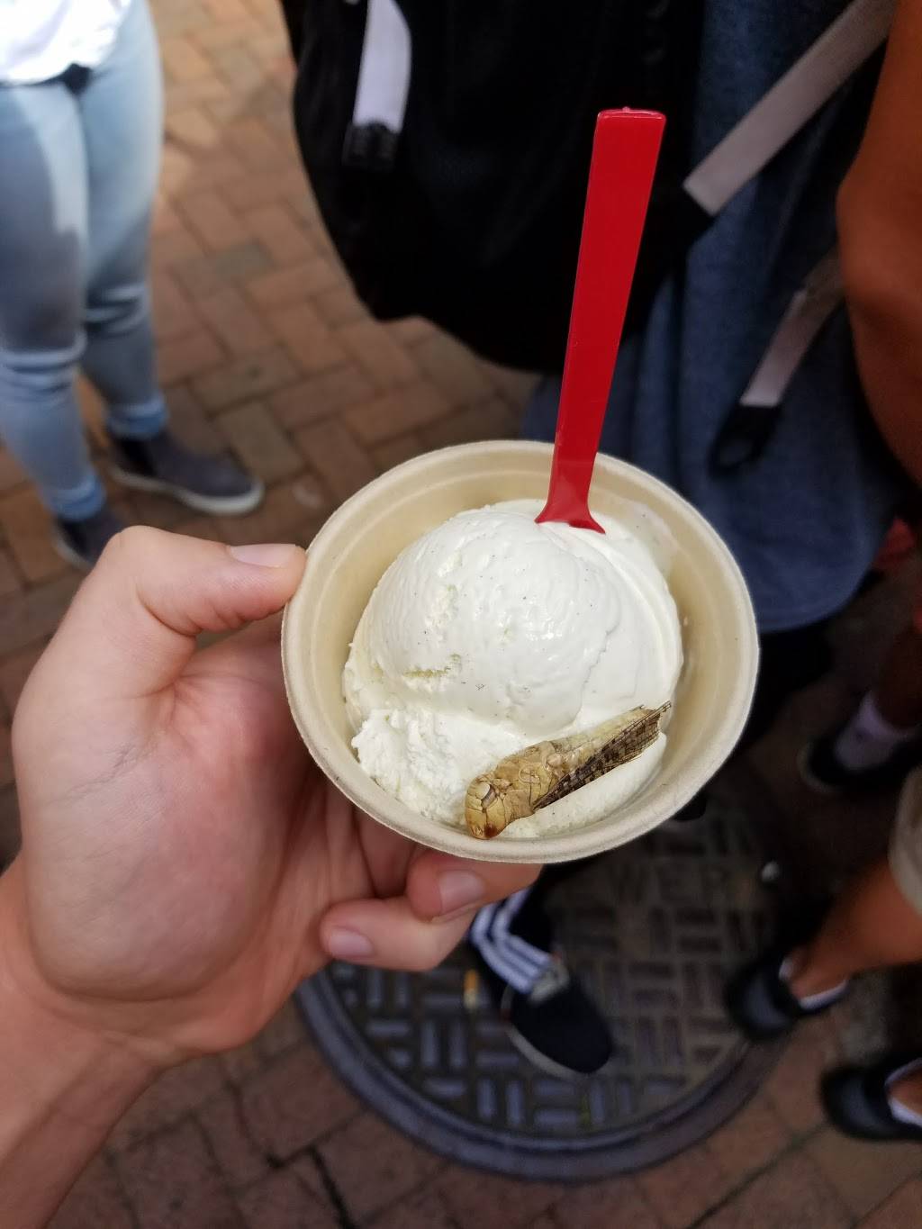 Chipotle Mexican Grill | restaurant | 1 New York Plaza, New York, NY 10004, USA | 6468823252 OR +1 646-882-3252