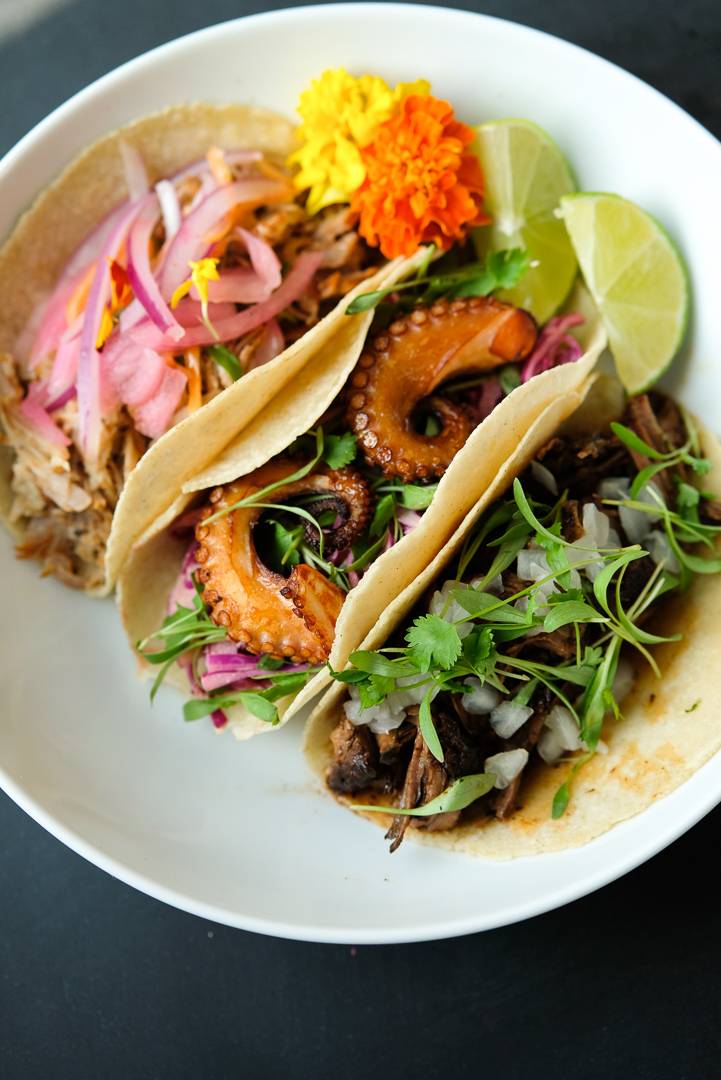 Tazon | restaurant | 500 N Harbor Blvd, Fullerton, CA 92832, USA | 6572487330 OR +1 657-248-7330