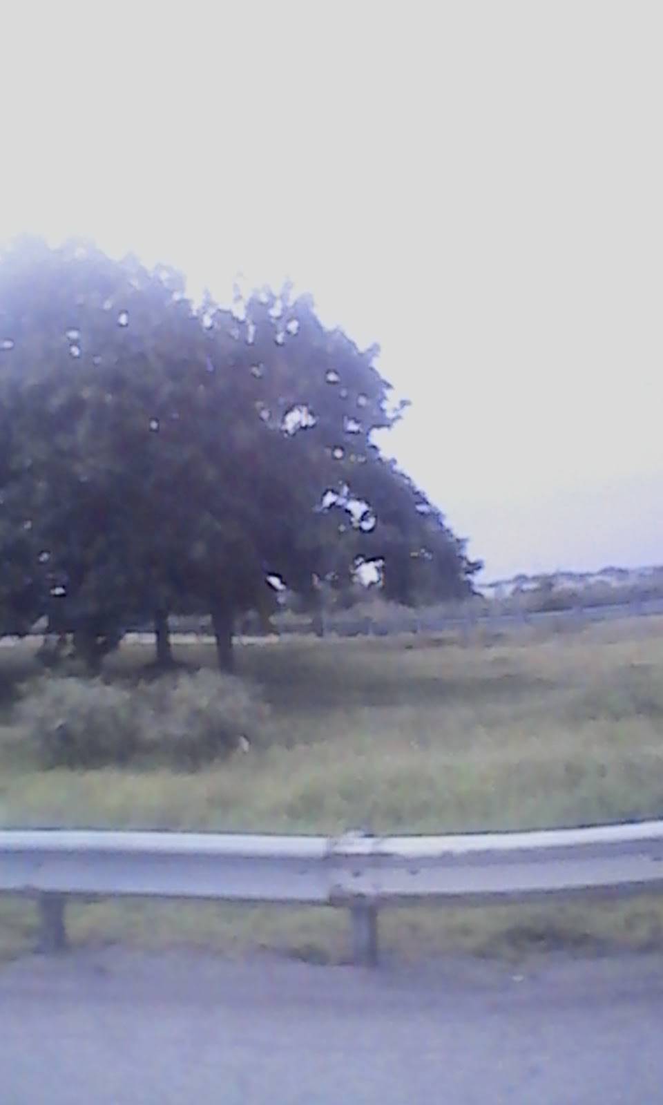 Joanns Kitchen | restaurant | 3372 US-378, Conway, SC 29527, USA | 8433975858 OR +1 843-397-5858