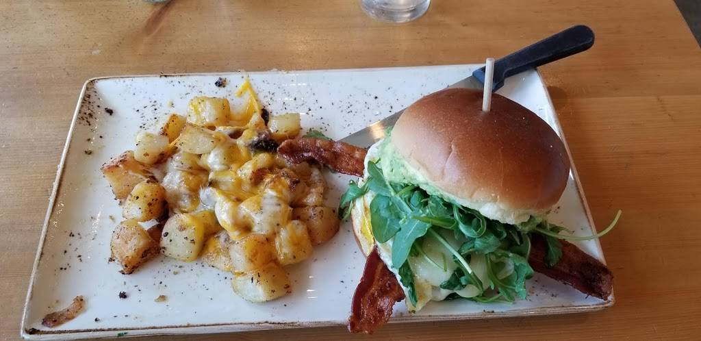 First Watch - Tyrone Crossing | restaurant | 4045 Tyrone Blvd N #204, St. Petersburg, FL 33709, USA | 7278289911 OR +1 727-828-9911