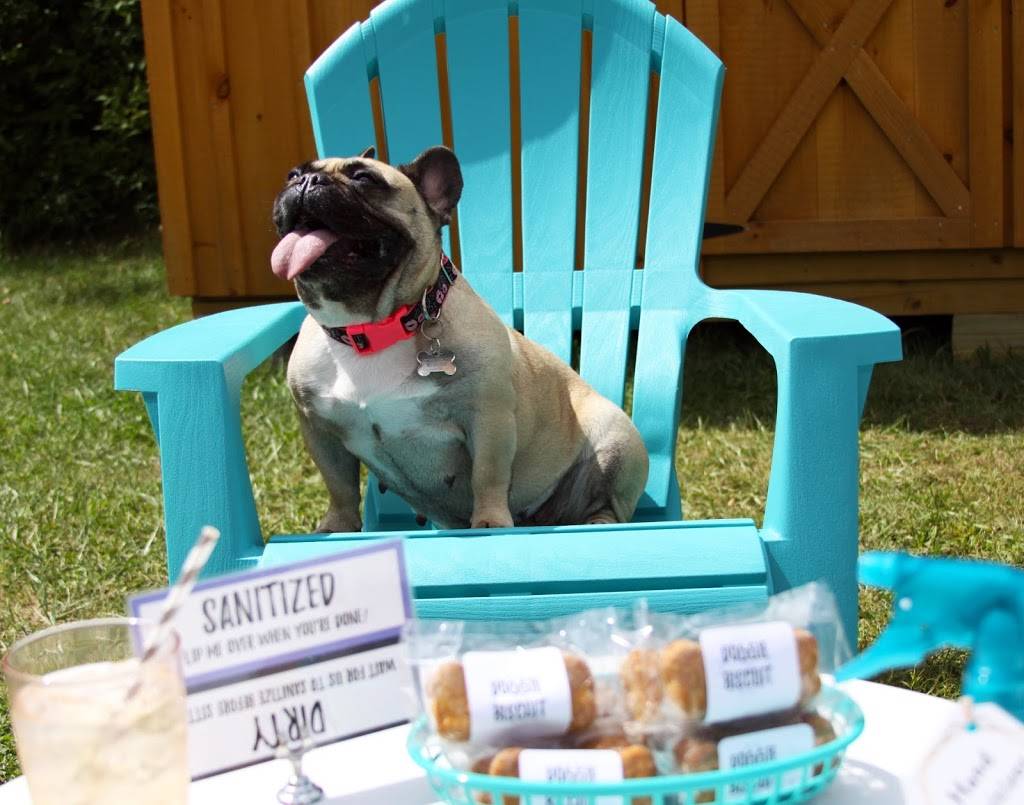 Serendipitys Backlot | restaurant | 950 Danby Rd, Ithaca, NY 14850, United States | 6072732145 OR +1 607-273-2145